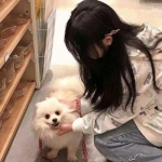 火博体育官方网入口下载